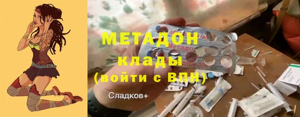 эйфоретик Няндома
