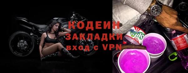 эйфоретик Няндома