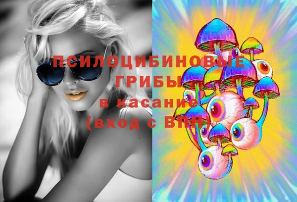 эйфоретик Няндома