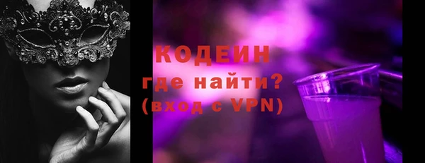 эйфоретик Няндома