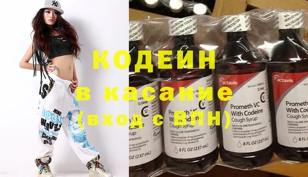 эйфоретик Няндома