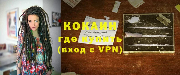 эйфоретик Няндома