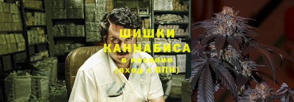 ПСИЛОЦИБИНОВЫЕ ГРИБЫ Болохово