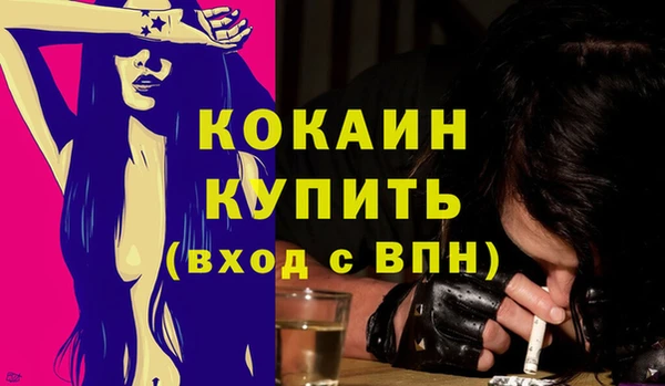 эйфоретик Няндома