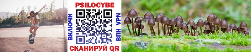 Псилоцибиновые грибы Cubensis Колпашево