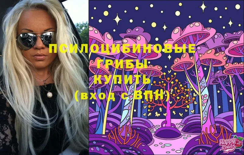 закладки  Колпашево  Галлюциногенные грибы MAGIC MUSHROOMS 